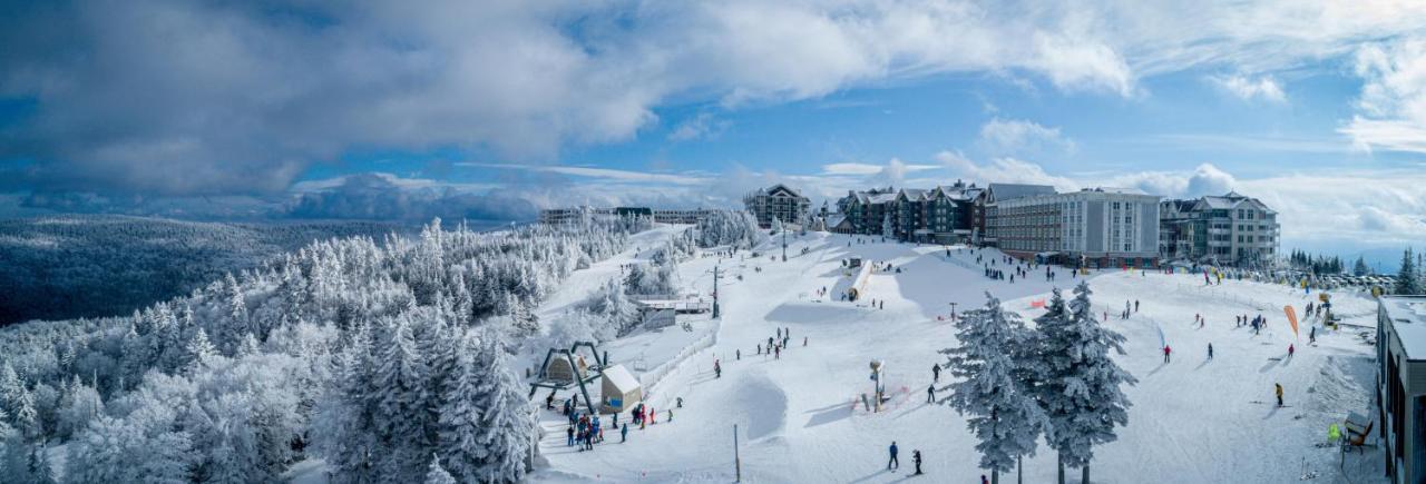 Stroll To Slopes, Village Area, Ski In-Out Mtlodge 304 스노우슈 외부 사진